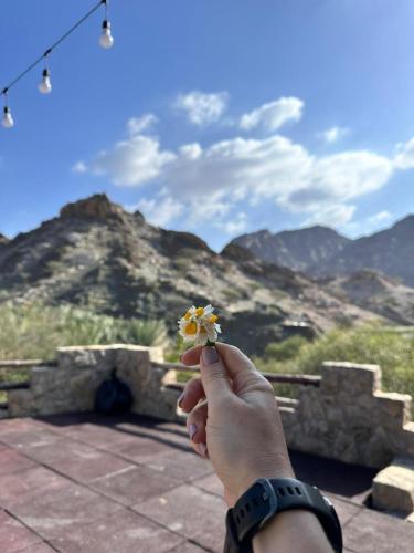 View, Hiking break in Dhaid