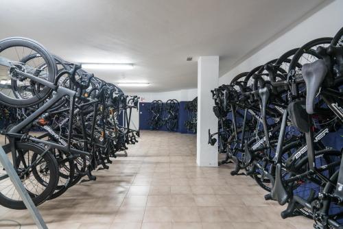 THB Maria Isabel - Adults Only - main image