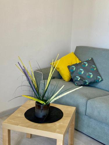 STUDIO VERT FSHH, Nice (photo 9)