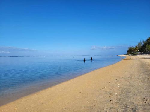 T2 Bord de plage Saline les Bains