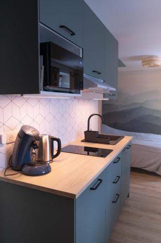 생 모리스 - 알자스 Rêverie du Val (Reverie du Val) 2성급 싱글룸 객실