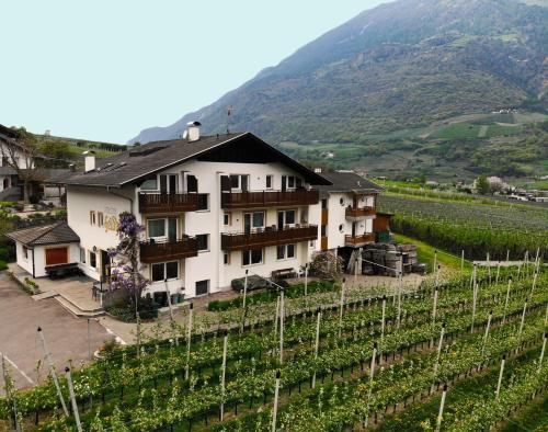 Residence Feldhof - Accommodation - Castelbello-ciardes