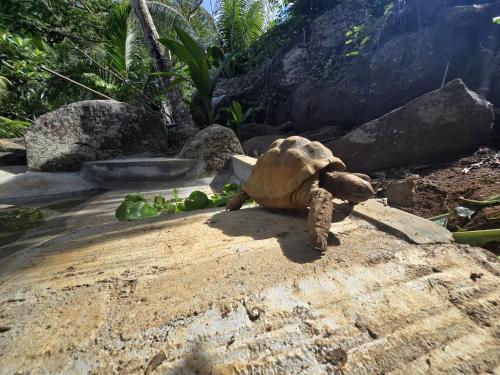 La Vida Selfcatering Apartements La Vida Selfcatering Apartements