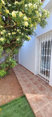 Casa Isleta, La Manga del Mar Menor (zdjęcie 3)