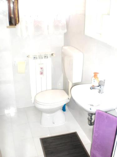 Charming villa in Umag with private pool - image 3