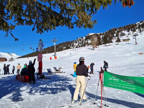 Luxury apartment near Les Arcs 1600