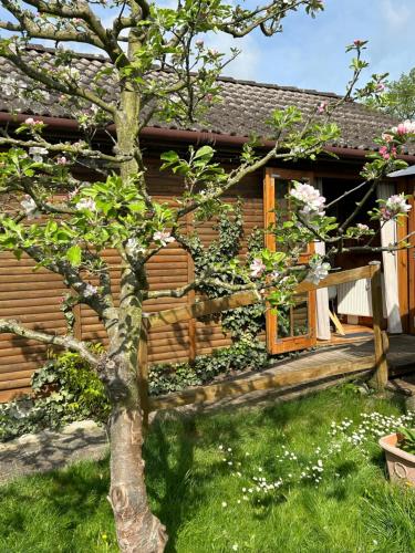 外部景觀, Tiny House mit Garten in See-Nähe (Tiny House mit Garten in See-Nahe) in 貝斯科