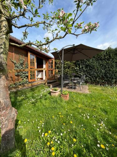 外部景觀, Tiny House mit Garten in See-Nähe (Tiny House mit Garten in See-Nahe) in 貝斯科
