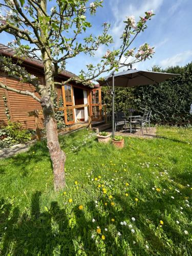 外部景觀, Tiny House mit Garten in See-Nähe (Tiny House mit Garten in See-Nahe) in 貝斯科