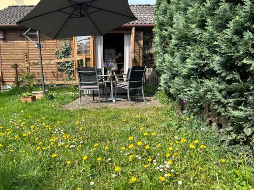 外部景觀, Tiny House mit Garten in See-Nähe (Tiny House mit Garten in See-Nahe) in 貝斯科