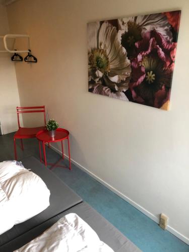 U3z Aalborg Vandrerhjem - image 2