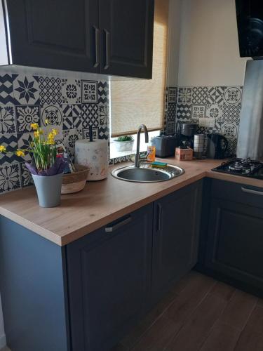 Kitchen, Gite L'hirondelle en Auvergne in Champs