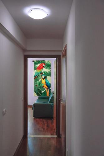 AMANTI DUE apartments 3