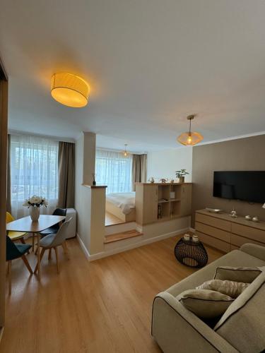 Studio Apartment image 10