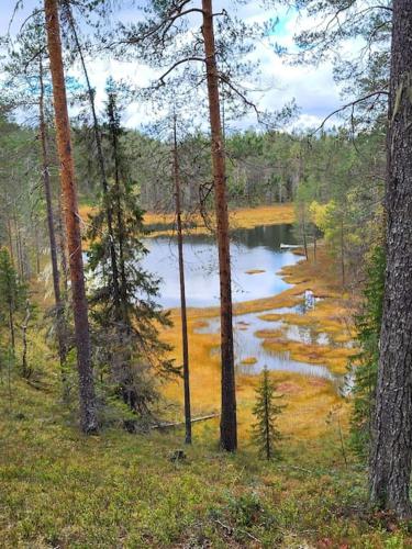 Viihtyisä ja tilava mökki, Pytkykaksonen B