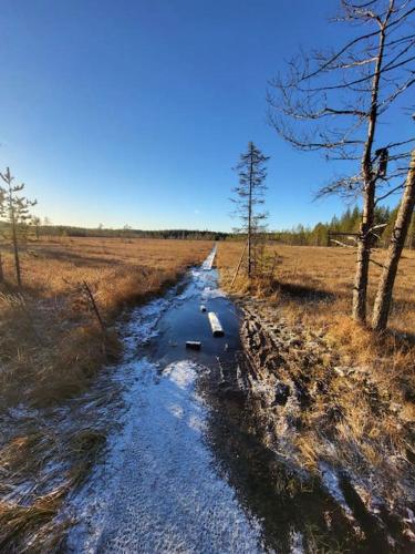 Viihtyisä ja tilava mökki, Pytkykaksonen B