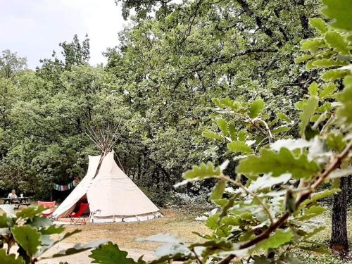 Tipizen - Camping - Trans-en-Provence