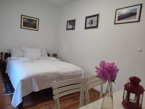 B&B Vila Babin zub