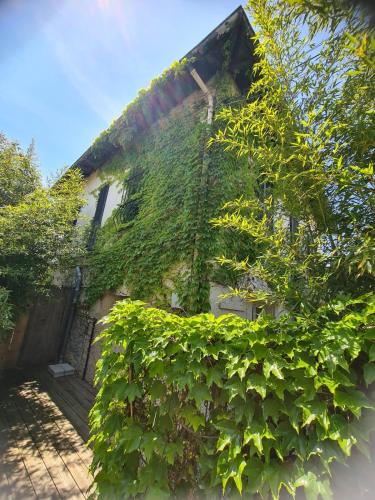 Serenity - Garden Calm & Air Conditioning Downtown, Saint-Laurent-du-Var (foto 9)