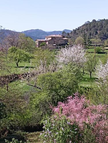 Chambre d'Hôte dans MAS proche Anduze Cévennes avec piscine - Accommodation - Mialet