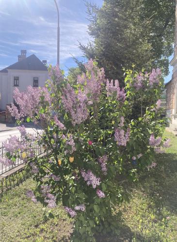 VILLA BRUNEGG Leoben GÖSS VILLA BRUNEGG Leoben GÖSS