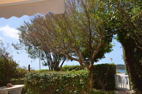 FANTASTIC SARDINIA VILLETTE CON GIARDINO Fronte Mare Fertilia FAHO-GAV01-GAV02