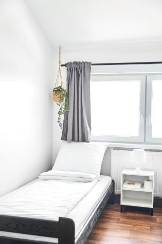 3 twin beds