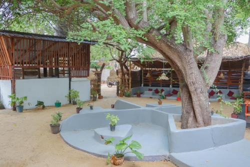 Stay Pura Vida in Teluk Arugam