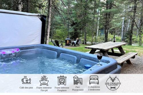 Spa, Le2085 - Spa et Plage - Les chalets dans le nord in Sainte Lucie des Laurentides (QC)