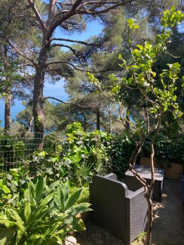 GUEST HOUSE BERZEFI - Noli