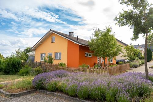 Ferienhaus Zum Feldblick in Andernach, Deutschland