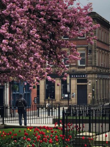 Studio in Bolton town, Short stay studio 5,, Bolton (photo 9)