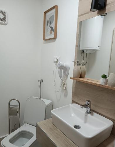 Sunčani apartman 1