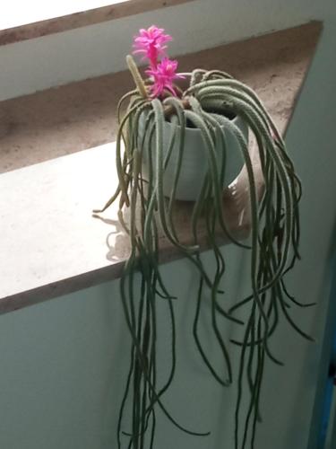 R&J's Home R&J's Home