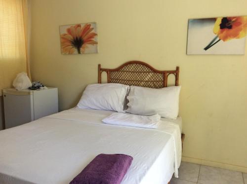 Coco Hotel and Hostel in Sosua