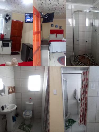 . The Croc Guest house