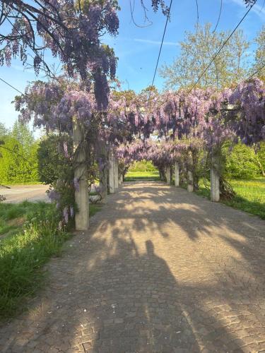 In centro da Ale