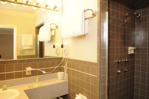Civic Center Motor Inn - image 14
