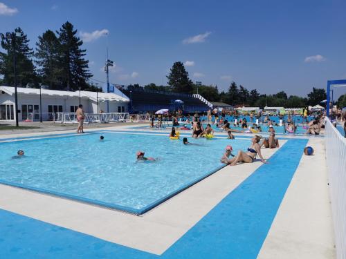 Zwembad, Apartments Domacinstvo Nikolic in Petnica