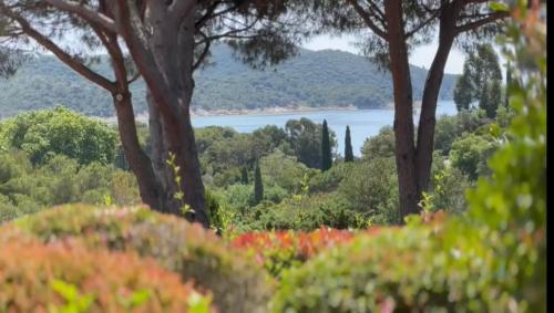 Gigaro Apt 4 pers Vue mer Plage a pieds Piscine, Tennis - Location saisonnière - La Croix-Valmer