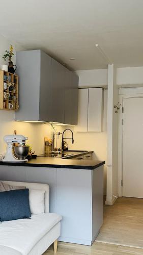 ApartmentInCopenhagen Apartment 1607, Kodaň (fotografie 10)