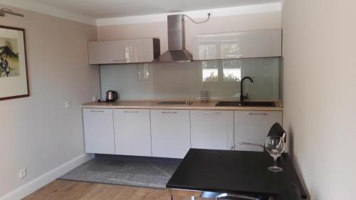 Kitchen, Hotel Retro B.A. Zientarski in Zielona Gora