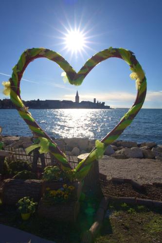 City center apartment Azura Vista in 波雷奇市中心