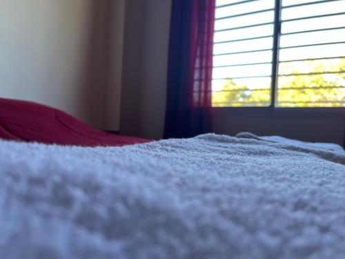 Superior King or Twin Room image 6