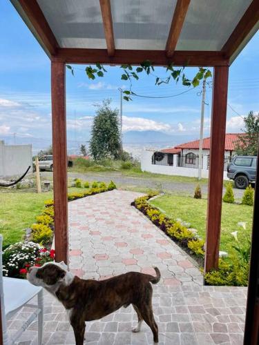 ¡Fogata y Lujo! in Ambato