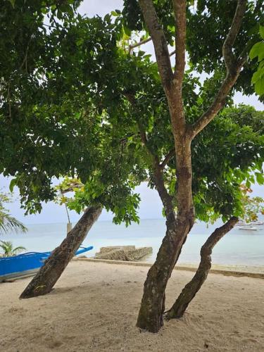 Tiny beach house, Private vacation home Tiny beach house, Private vacation home