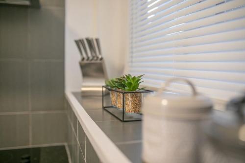 Beautiful Victorian Apartment in Pier