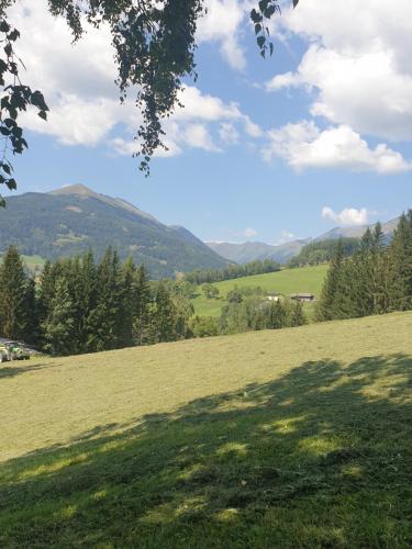 Holmbauer Ferienwohnung Panoramablick