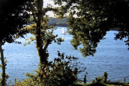 Maison en bois 4 personnes sur lac, Cantal