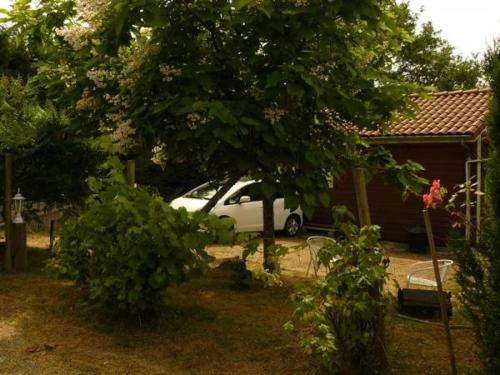 Maison en bois 4 personnes sur lac, Cantal